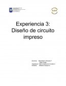 Circuitos electricos. Desarrollo de la experiencia