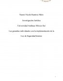 Las garantías individuales con la implementación de la Ley de Seguridad Interior