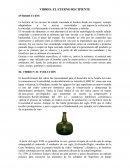 VIDRIO: EL ETERNO RECIPIENTE