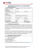 SISTEMAS DE SOPORTE A LAS DECISIONES