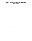 Reporte de detección de necesidades de capacitación