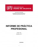 MENCIÓN DISCAPACIDAD INTELECTUAL INFORME DE PRÁCTICA PROFESIONAL