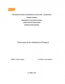 Funciones de la orientación