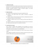 Trabajo de investigacion frustracion