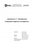 Laboratorio n°1 “Identificación compuestos orgánicos e inorgánicos”