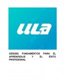 MIS ESTRATEGIAS PARA EL ÉXITO ACADÉMICO Y PROFESIONAL