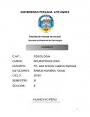 Monografía de agnosias