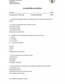 La bruja bella y el solitario