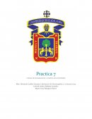 Practica electroquimica