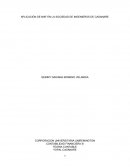 APLICACIÓN DE NIIIF EN LA SOCIEDAD DE INGENIEROS DE CASANARE