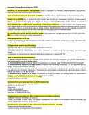 Sistemas de almacenamiento automatizado