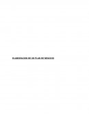 Ejemplo elaboración de plan de negocio