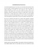 INCONMENSURABLE MELANCOLIA