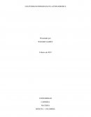 Ensayo sobre los pueblos indígenas