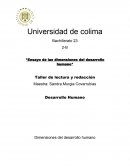 Dimencioones del desarrollo humano