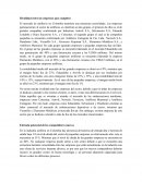 Rivalidad entre las empresas que compiten