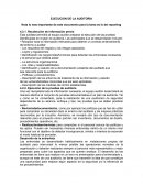 EJECUCION DE LA AUDITORIA