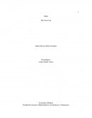 Taller The True Cost