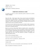 Comentario Literario "Mal de Ojo"