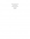 Tarea N5 - Modelo de programación lineal
