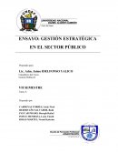 ENSAYO: GESTIÓN ESTRATÉGICA EN EL SECTOR PÚBLICO