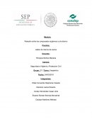 Relación entre los compuestos orgánicos y el entorno Practica: Jabón de manos de avena