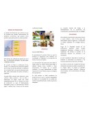 La ideología alemana de Karl Marx y Friedrich Engles