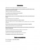 Investigacion de mercados. Entrevista