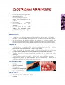 CLOSTRIDIUM PERFRINGENS