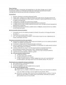 Bienes Familiares en Chile