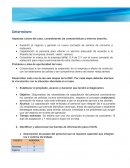 Caso empresa taMal, S.A de C.V