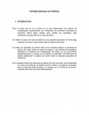 INFORME DENSIDAD DE TERRENO