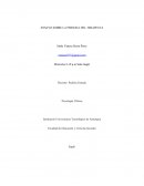 ENSAYO SOBRE LA PERSONA DEL TERAPEUTA