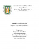 Responsabilidad Social Empresa: Candy Makeup S.A de C.V