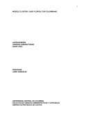 MODELO CLÚSTER: CASO FLORICULTOR COLOMBIANO