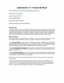 Laboratorio n°1: Fuerza de Roce