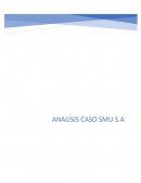 ANALISIS CASO SMU S.A