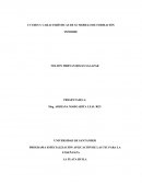 PROGRAMA ESPECIALIZACIÓN APLICACIÓN DE LAS TIC PARA LA ENSEÑANZA