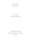 ESPECIALIZACION EN GERENCIA DE PROYECTOS