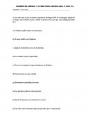 EXAMEN DE LENGUA Y LITERATURA CASTELLANA. 3º