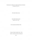Determinación de configuración e instalación del Sistema de Información
