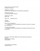 RUBRICA 1 ELABORACIÓN Y MANTENIMIENTO DE SISTEMAS DE INFORMACION