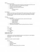 Plan de medios. Objetivo