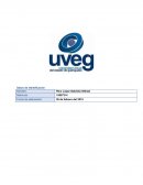 Sistemas de corrupcion. Estadio 1 – Situación no estructurada