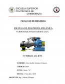 TURBOMAQUINARIA HIDRAULICA