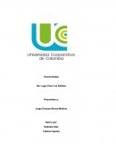 Reseña película sin lugar para debiles