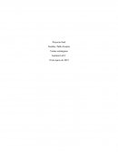 Proyecto final. Ventas estratégicas