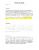 ENSAYO DE PROYECTO DE EJECUCION