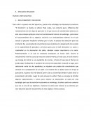 Descripción del puesto: CHEF EJECUTIVO