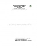 LOS FACTORES QUE INCIDEN EN EL APRENDIZAJE HUMANO